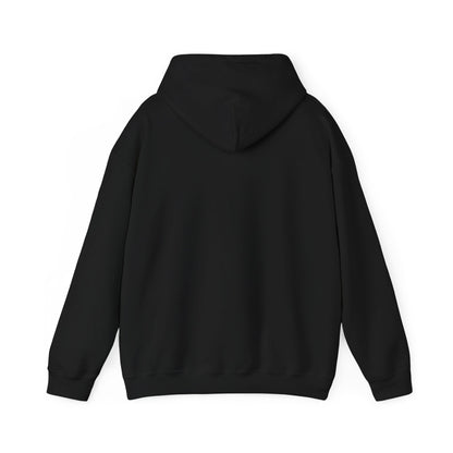 Professional Napper — Funny Certified Nap Hoodie