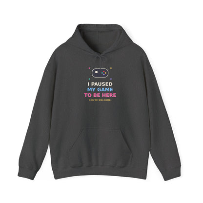 I Paused My Game To Be Here — Funny Gamer Hoodie